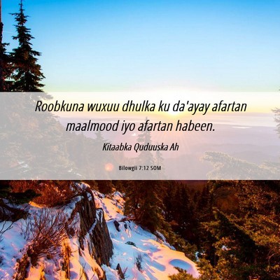 Picture 06 - Bilowgii 7:12 SOM - Roobkuna wuxuu dhulka ku da'ayay afartan maalmood - Bible Verse Picture
