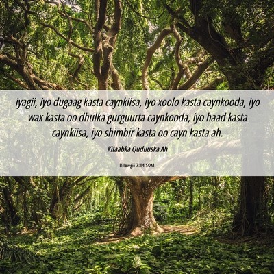 Picture 06 - Bilowgii 7:14 SOM - iyagii, iyo dugaag kasta caynkiisa, iyo xoolo - Bible Verse Picture