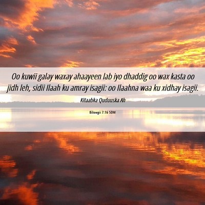 Picture 06 - Bilowgii 7:16 SOM - Oo kuwii galay waxay ahaayeen lab iyo dhaddig oo - Bible Verse Picture