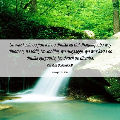 Picture 06 - Bilowgii 7:21 SOM - Oo wax kasta oo jidh leh oo dhulka ku dul - Bible Verse Picture