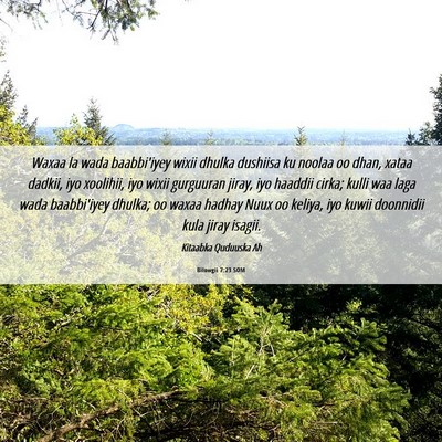 Picture 06 - Bilowgii 7:23 SOM - Waxaa la wada baabbi'iyey wixii dhulka dushiisa - Bible Verse Picture