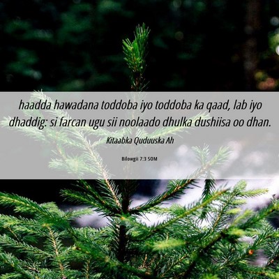 Picture 06 - Bilowgii 7:3 SOM - haadda hawadana toddoba iyo toddoba ka qaad, lab - Bible Verse Picture
