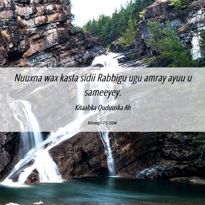 Picture 06 - Bilowgii 7:5 SOM - Nuuxna wax kasta sidii Rabbigu ugu amray ayuu u - Bible Verse Picture