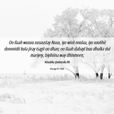 Picture 06 - Bilowgii 8:1 SOM - Oo Ilaah wuxuu xusuustay Nuux, iyo wixii noolaa, - Bible Verse Picture