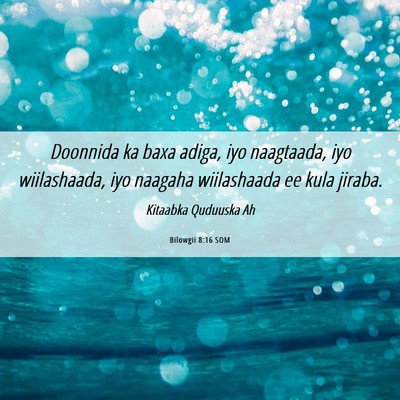 Picture 06 - Bilowgii 8:16 SOM - Doonnida ka baxa adiga, iyo naagtaada, iyo - Bible Verse Picture
