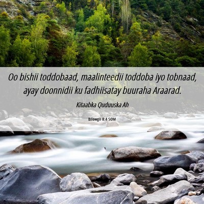 Picture 06 - Bilowgii 8:4 SOM - Oo bishii toddobaad, maalinteedii toddoba iyo - Bible Verse Picture
