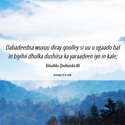 Picture 06 - Bilowgii 8:8 SOM - Dabadeedna wuxuu diray qoolley si uu u ogaado bal - Bible Verse Picture