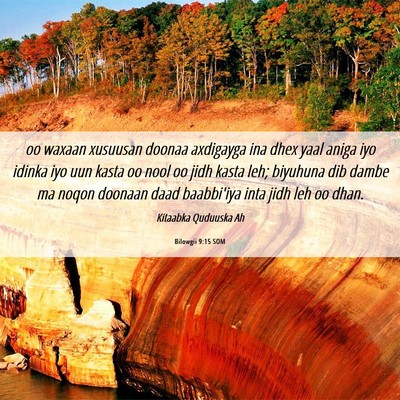 Picture 06 - Bilowgii 9:15 SOM - oo waxaan xusuusan doonaa axdigayga ina dhex yaal - Bible Verse Picture