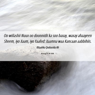 Picture 06 - Bilowgii 9:18 SOM - Oo wiilashii Nuux oo doonnidii ka soo baxay, - Bible Verse Picture