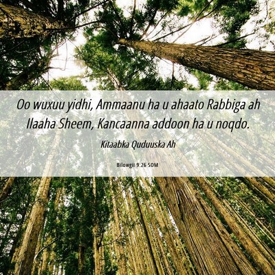 Picture 06 - Bilowgii 9:26 SOM - Oo wuxuu yidhi, Ammaanu ha u ahaato Rabbiga ah - Bible Verse Picture
