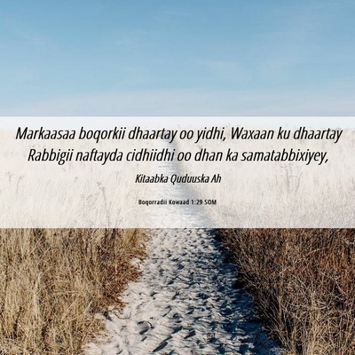 Picture 06 - Boqorradii Kowaad 1:29 SOM - Markaasaa boqorkii dhaartay oo yidhi, Waxaan ku - Bible Verse Picture