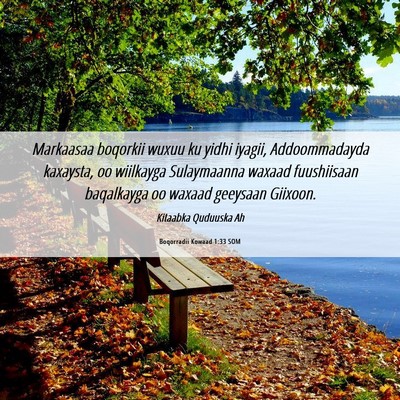 Picture 06 - Boqorradii Kowaad 1:33 SOM - Markaasaa boqorkii wuxuu ku yidhi iyagii, - Bible Verse Picture
