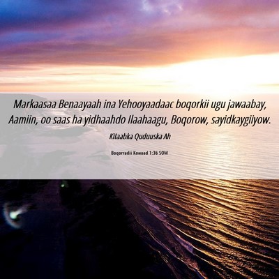 Picture 06 - Boqorradii Kowaad 1:36 SOM - Markaasaa Benaayaah ina Yehooyaadaac boqorkii ugu - Bible Verse Picture