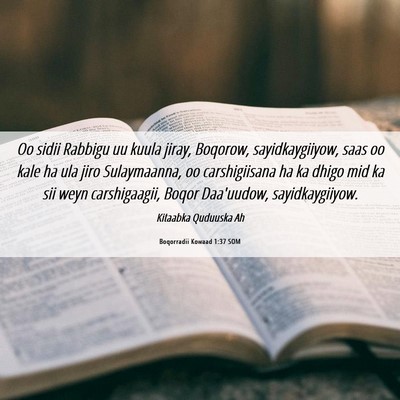 Picture 06 - Boqorradii Kowaad 1:37 SOM - Oo sidii Rabbigu uu kuula jiray, Boqorow, - Bible Verse Picture