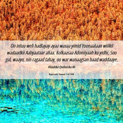 Picture 06 - Boqorradii Kowaad 1:42 SOM - Oo intuu weli hadlayay ayaa waxaa yimid - Bible Verse Picture