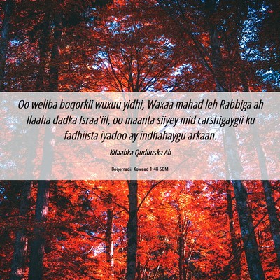 Picture 06 - Boqorradii Kowaad 1:48 SOM - Oo weliba boqorkii wuxuu yidhi, Waxaa mahad leh - Bible Verse Picture