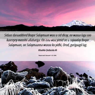 Picture 06 - Boqorradii Kowaad 1:53 SOM - Sidaas daraaddeed Boqor Sulaymaan wuu u cid - Bible Verse Picture