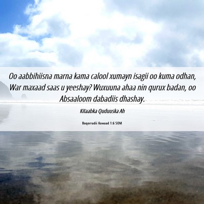 Picture 06 - Boqorradii Kowaad 1:6 SOM - Oo aabbihiisna marna kama calool xumayn isagii oo - Bible Verse Picture