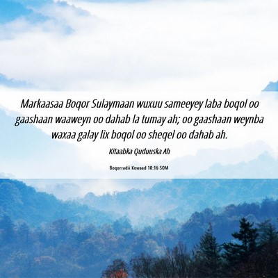 Picture 06 - Boqorradii Kowaad 10:16 SOM - Markaasaa Boqor Sulaymaan wuxuu sameeyey laba - Bible Verse Picture