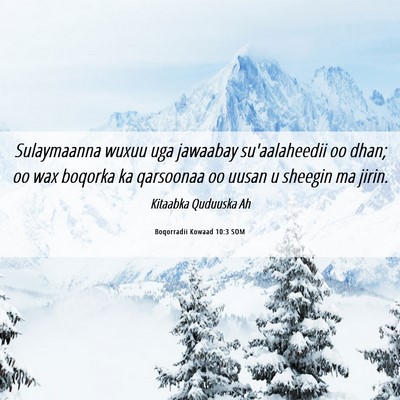 Picture 06 - Boqorradii Kowaad 10:3 SOM - Sulaymaanna wuxuu uga jawaabay su'aalaheedii oo - Bible Verse Picture