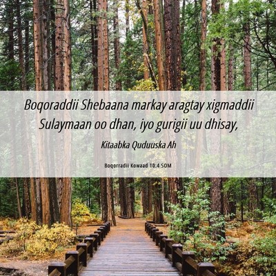 Picture 06 - Boqorradii Kowaad 10:4 SOM - Boqoraddii Shebaana markay aragtay xigmaddii - Bible Verse Picture