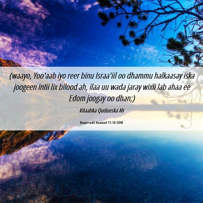 Picture 06 - Boqorradii Kowaad 11:16 SOM - (waayo, Yoo'aab iyo reer binu Israa'iil oo dhammu - Bible Verse Picture