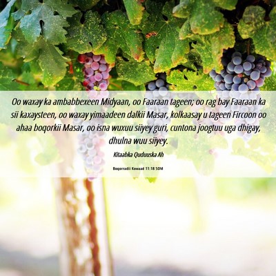 Picture 06 - Boqorradii Kowaad 11:18 SOM - Oo waxay ka ambabbexeen Midyaan, oo Faaraan - Bible Verse Picture