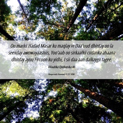 Picture 06 - Boqorradii Kowaad 11:21 SOM - Oo markii Hadad Masar ku maqlay in Daa'uud - Bible Verse Picture