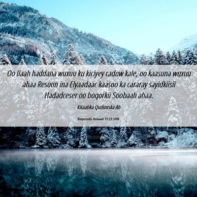 Picture 06 - Boqorradii Kowaad 11:23 SOM - Oo Ilaah haddana wuxuu ku kiciyey cadow kale, oo - Bible Verse Picture