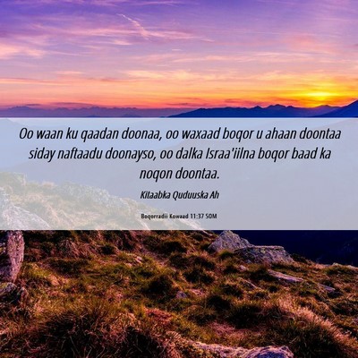 Picture 06 - Boqorradii Kowaad 11:37 SOM - Oo waan ku qaadan doonaa, oo waxaad boqor u ahaan - Bible Verse Picture