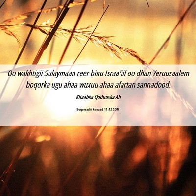 Picture 06 - Boqorradii Kowaad 11:42 SOM - Oo wakhtigii Sulaymaan reer binu Israa'iil oo - Bible Verse Picture