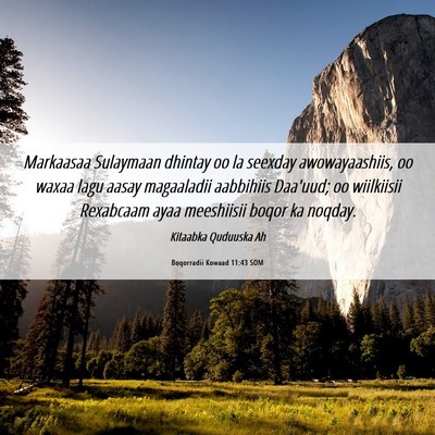 Picture 06 - Boqorradii Kowaad 11:43 SOM - Markaasaa Sulaymaan dhintay oo la seexday - Bible Verse Picture