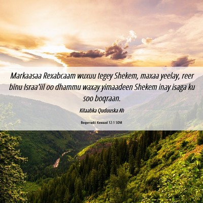 Picture 06 - Boqorradii Kowaad 12:1 SOM - Markaasaa Rexabcaam wuxuu tegey Shekem, maxaa - Bible Verse Picture