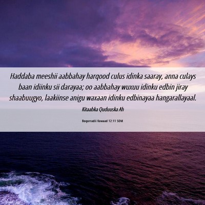 Picture 06 - Boqorradii Kowaad 12:11 SOM - Haddaba meeshii aabbahay harqood culus idinka - Bible Verse Picture