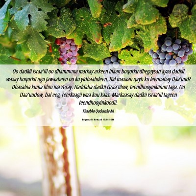 Picture 06 - Boqorradii Kowaad 12:16 SOM - Oo dadkii Israa'iil oo dhammuna markay arkeen - Bible Verse Picture