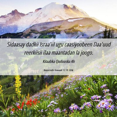 Picture 06 - Boqorradii Kowaad 12:19 SOM - Sidaasay dadkii Israa'iil ugu caasiyoobeen - Bible Verse Picture