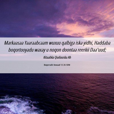 Picture 06 - Boqorradii Kowaad 12:26 SOM - Markaasaa Yaaraabcaam wuxuu qalbiga iska yidhi, - Bible Verse Picture