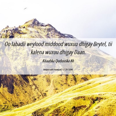Picture 06 - Boqorradii Kowaad 12:29 SOM - Oo labadii weylood middood wuxuu dhigay Beytel, - Bible Verse Picture