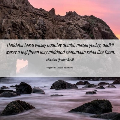 Picture 06 - Boqorradii Kowaad 12:30 SOM - Haddaba taasu waxay noqotay dembi, maxaa yeelay, - Bible Verse Picture