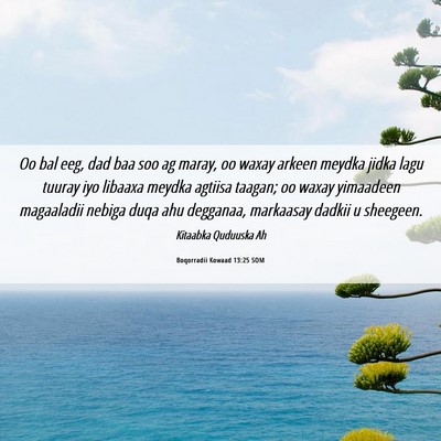 Picture 06 - Boqorradii Kowaad 13:25 SOM - Oo bal eeg, dad baa soo ag maray, oo waxay arkeen - Bible Verse Picture