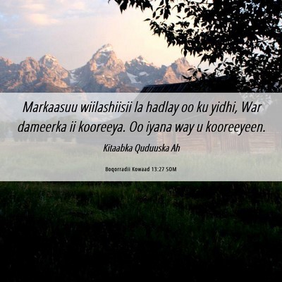 Picture 06 - Boqorradii Kowaad 13:27 SOM - Markaasuu wiilashiisii la hadlay oo ku yidhi, War - Bible Verse Picture