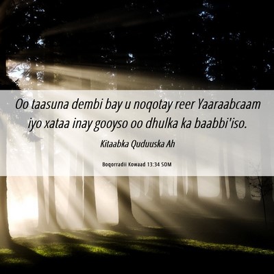 Picture 06 - Boqorradii Kowaad 13:34 SOM - Oo taasuna dembi bay u noqotay reer Yaaraabcaam - Bible Verse Picture