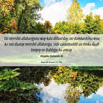Picture 06 - Boqorradii Kowaad 13:5 SOM - Oo meeshii allabariguna way kala dillaacday, oo - Bible Verse Picture