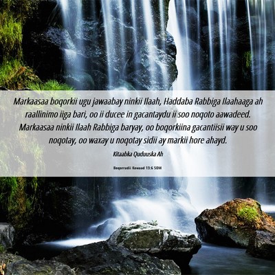 Picture 06 - Boqorradii Kowaad 13:6 SOM - Markaasaa boqorkii ugu jawaabay ninkii Ilaah, - Bible Verse Picture