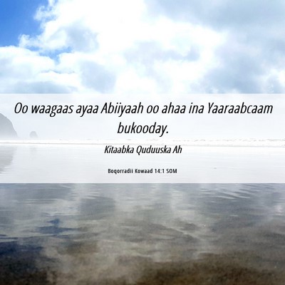 Picture 06 - Boqorradii Kowaad 14:1 SOM - Oo waagaas ayaa Abiiyaah oo ahaa ina Yaaraabcaam - Bible Verse Picture