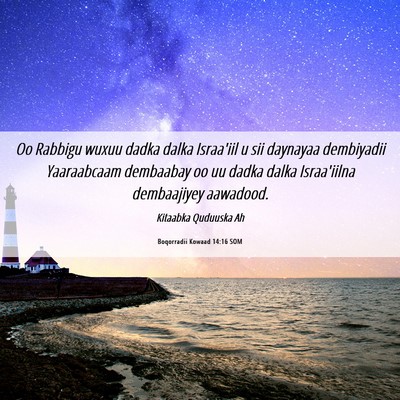 Picture 06 - Boqorradii Kowaad 14:16 SOM - Oo Rabbigu wuxuu dadka dalka Israa'iil u sii - Bible Verse Picture