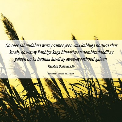 Picture 06 - Boqorradii Kowaad 14:22 SOM - Oo reer Yahuudahna waxay sameeyeen wax Rabbiga - Bible Verse Picture