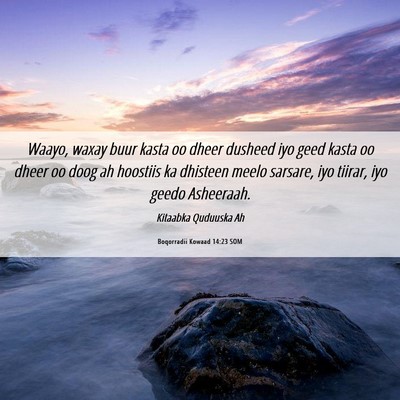 Picture 06 - Boqorradii Kowaad 14:23 SOM - Waayo, waxay buur kasta oo dheer dusheed iyo geed - Bible Verse Picture