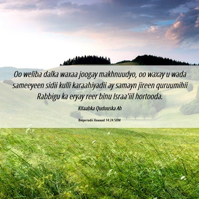 Picture 06 - Boqorradii Kowaad 14:24 SOM - Oo weliba dalka waxaa joogay makhnuudyo, oo waxay - Bible Verse Picture
