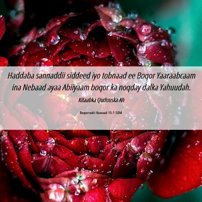 Picture 06 - Boqorradii Kowaad 15:1 SOM - Haddaba sannaddii siddeed iyo tobnaad ee Boqor - Bible Verse Picture